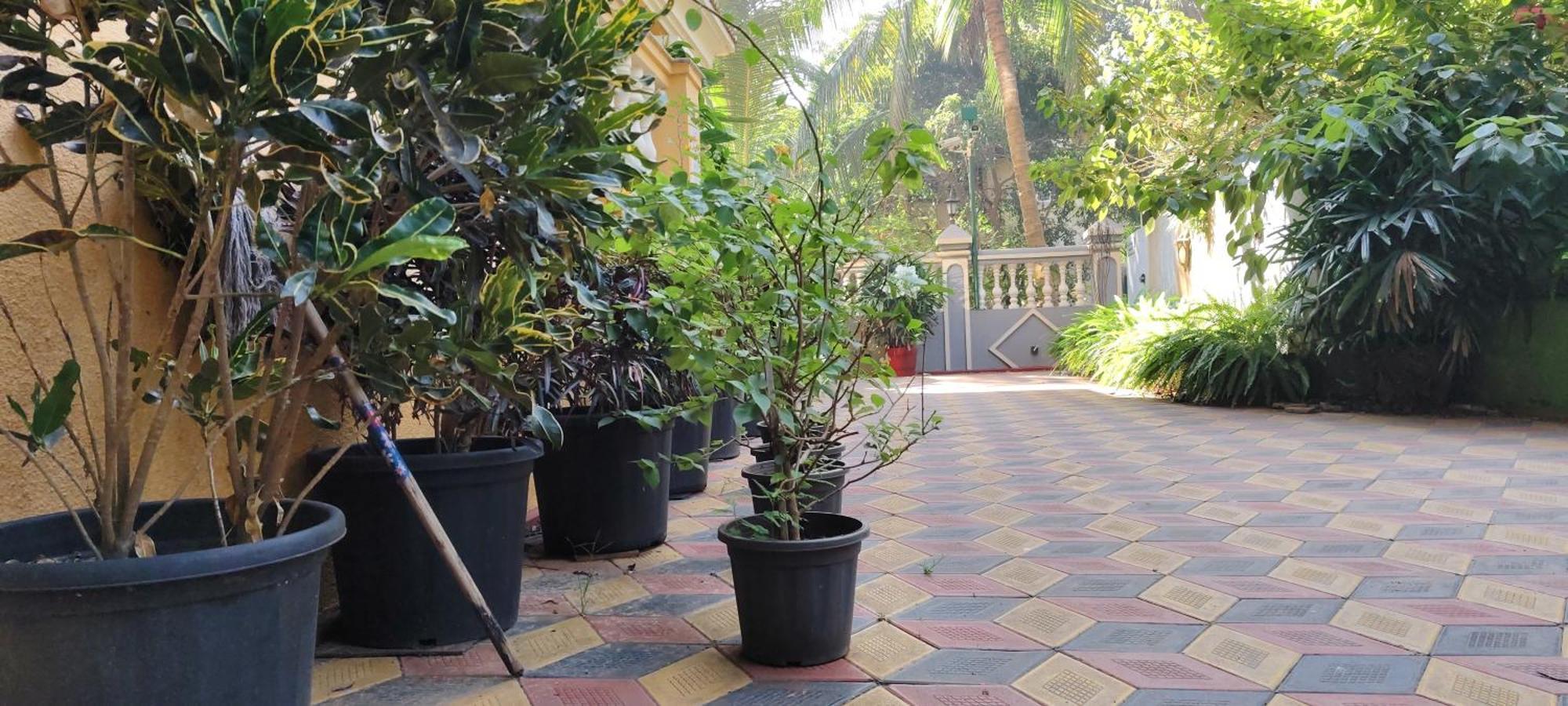 Ena Holiday Inn Calangute Exterior photo